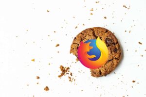 How To Delete And Clear Cookies – Mozilla Firefox